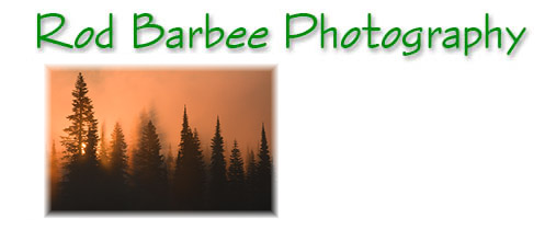 $Account.OrganizationName