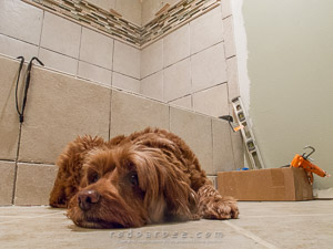 bathroom remodel
