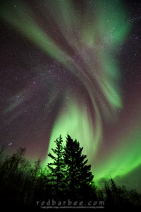 aurora 