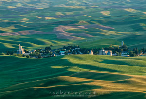The Palouse