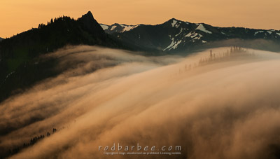early morning from Hurricane Ridge, fog flowing over the ridge