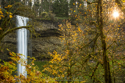 South Falls, Silver Falls State Park, WA